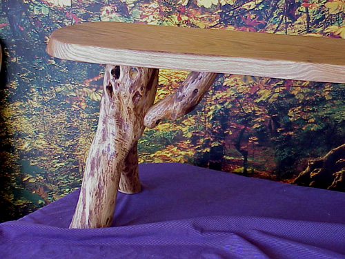 Tree bench with it's beautiful natural legs. 