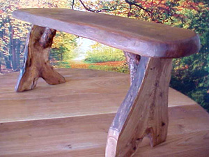 oak tree bench