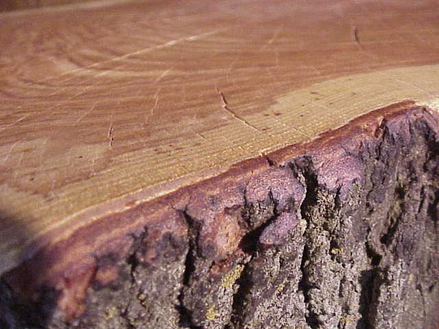 close up of an edge showing the wine colored wood.