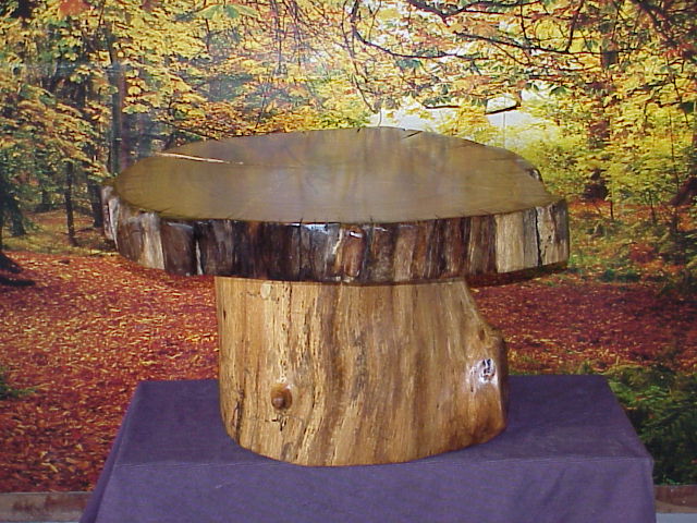 oak log coffee/cocktail table REmushroom