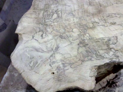 section of the spalted top..  it will be gorgeous...