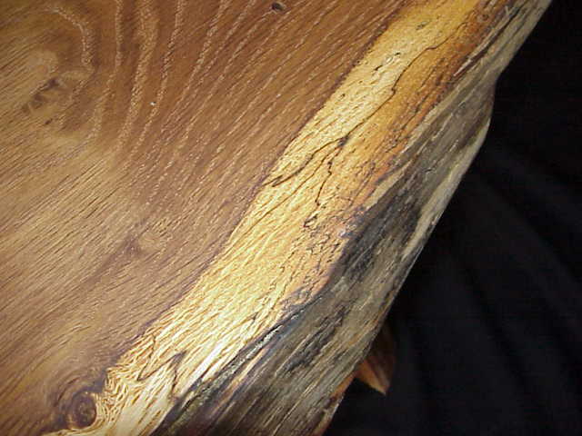 Natural edge of the log, sometimes called 