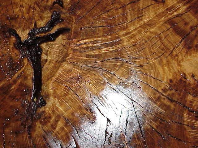 Stump top - White oak with teak oils applied