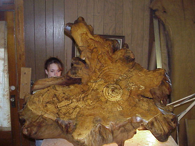 My daughter, Hannah, helps me prepare this rootball for it's trip to Colorado mounatin home.