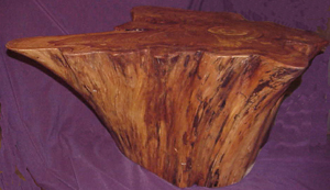 stump table a side view