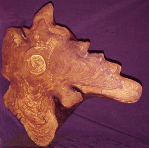 Irregular slice of a stump. A coffee table. With or without a glass top.